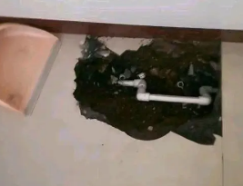 肇庆市卫生间测漏水多少钱